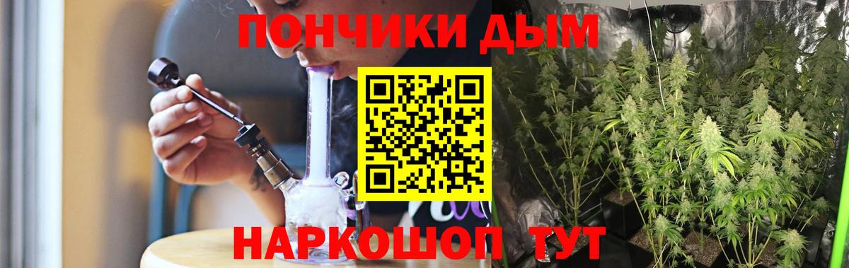 Бошки Шишки планчик Мичуринск
